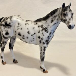 Peter Stone Custom Appaloosa Ideal Stock Horse ISH